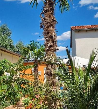 Grahl'S Ferienwohnung Markranstaedt Ngoại thất bức ảnh