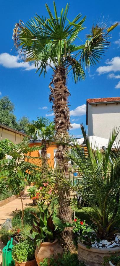 Grahl'S Ferienwohnung Markranstaedt Ngoại thất bức ảnh